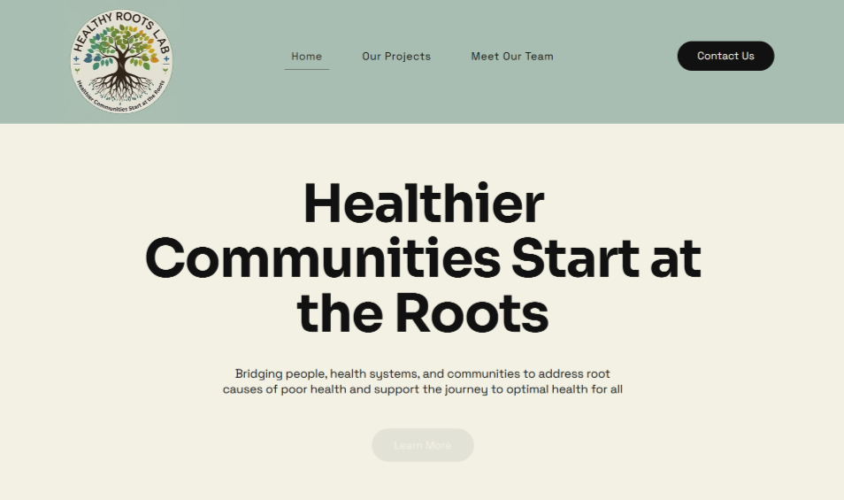 Healthy Roots Lab website preview