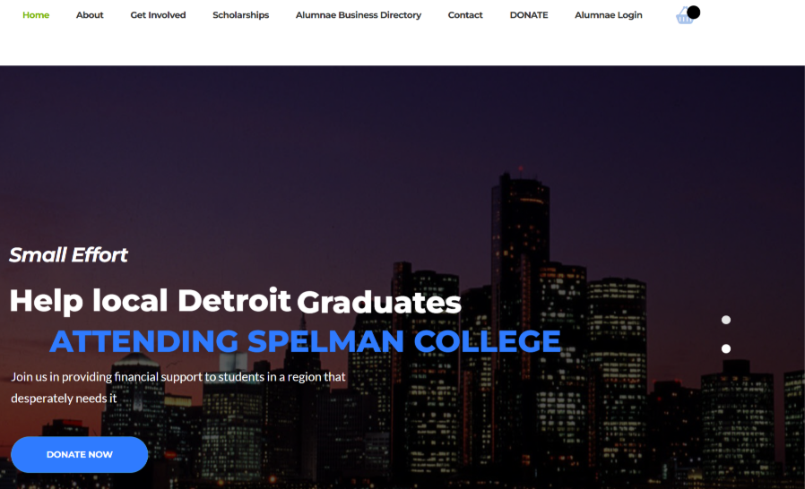 Detroit NAASC website preview